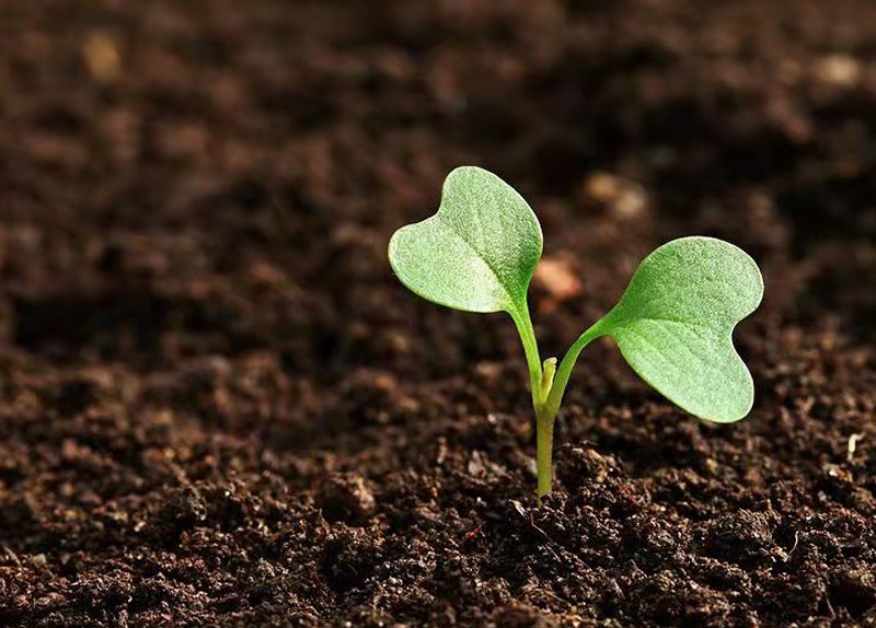 助力第三次全國(guó)土壤普查——海能/新儀土壤檢測(cè)解決方案