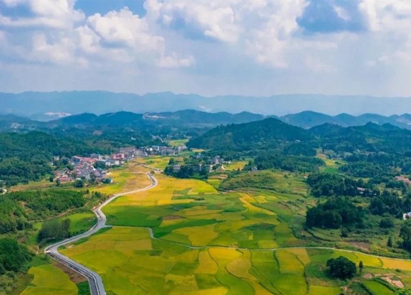 加快建設(shè)農(nóng)業(yè)強(qiáng)國(guó)，新儀持續(xù)注入力量！